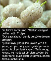 Hayal Adli Kullanicinin Islam Panosundaki Pin Gercekler Dualar Bilgi