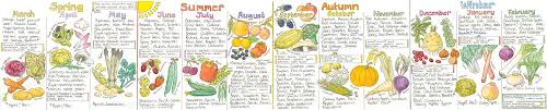 Liz Cook Seasonal Uk Fruit And Vegetable Chart