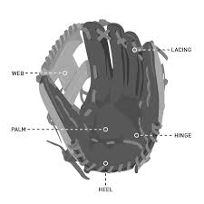 How to measure the length of a baseball glove. What Size Baseball Glove Should An 8 Year Old Use Guide Baseball Boom