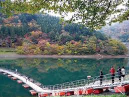 「奥多摩」の画像検索結果