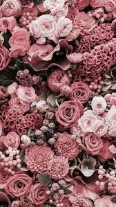 Thousands of new high quality pictures added every day. Simple Roses And Nature Image 6583801 On Favim Com