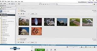 It is the smartest way to systematize, handle, view and edit digital photos. Descarga De La Aplicacion De Escritorio Picasa Para Windows Como