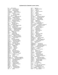 Image result for Loudetia lanata