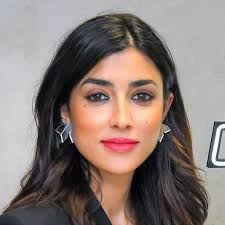 Team — The Blue Owl Group