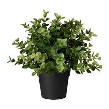 Fejka Umela Kvetina V Kvet Oregano Ikea Artificial Potted Plants Small Artificial Plants Artificial Plant Wall