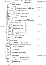 Image result for Trisetopsis