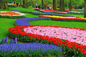 صور حديقة Keukenhof اجمل المناظر الطبيعية في هولندا صوري