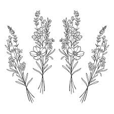 Find & download free graphic resources for hawthorn flower. Added Some Ash Hawthorn And Oak To Christine S Brooms Healed From A Bit Ago Thanks Love Tattoos Feather Tattoos Lace Tattoo