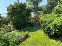 Green carpet landscaping & tree pro tree service 101 adams st. Westwood Lawn Care Facebook