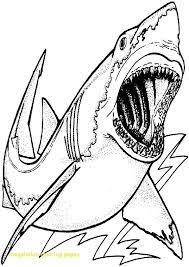 You just learned how to draw a shark. Pin On Coloring Pages For Kids