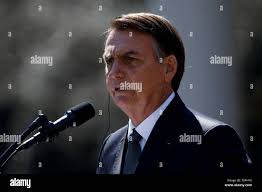 Picture rose hi-res stock photography and images