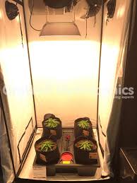 How to grow weed in tiny perpetual stealth. How To Build A Grow Room Beginner S Guide Growell Blog