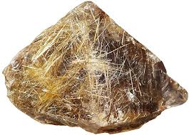 Image result for Rutidea