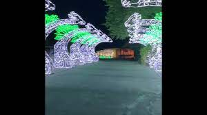 Wild Lights Exhibit At The Sedgwick County Zoo Youtube