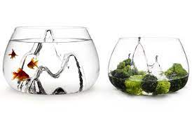 9 Unusual Fishbowls You Can Buy Glass Fish Bowl Glass Fish Bowl