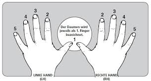 Die stücke sind als zyklus gedacht und durchaus mit augenzwinkern zu interpretieren (denn der autor ist der meinung, dass. Klavier Lernen Fur Anfanger Korperhaltung Fingersatz Tastenanschlag Keyboards