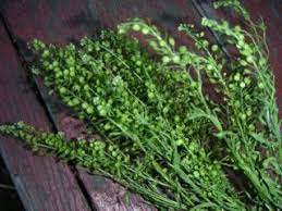 Dried Pepper Grass Herbs Dried Peppers Grass