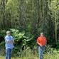 Urban Invasive Plants: Identification & Control of Common Species-Rock Hill