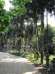Check spelling or type a new query. Aloe Garden Reflecting Pool Picture Of Ganna Walska Lotusland Montecito Tripadvisor