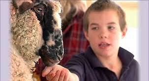 Healing HEART Sanctuary