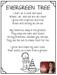 Evergreen Life Cycle Life Cycles Evergreen Kindergarten Poems