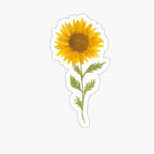 Sunflowers stickers these sunflowers stickers contain 50 pieces of different pattern vinyl stickers, size range from 2.0 inches to 4 inches,every sunflower is different. Sunflower Stickers Redbubble
