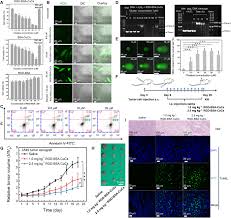 Cheap industrial metal detectors, buy quality tools directly from china suppliers:professional ground metal detector md6250 gold detector treasure finder metal detector give modes enjoy free shipping worldwide! An Artificial Metalloenzyme For Catalytic Cancer Specific Dna Cleavage And Operando Imaging Science Advances