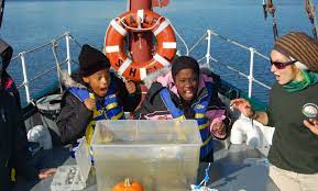 Buoyancy Challenge Whose Boat Can Hold The Most Weight Have Student Make Their Own Boat Out Of Tinfoil Straws Tape And Paper Then Water Fun Fun Cool Kids