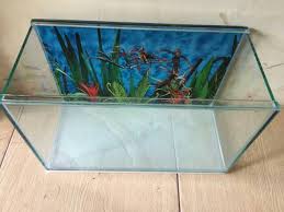 Ukuran tank x x x semua bisa jadi aquascape, biasanya lebih besar ukuran besar lebih mudah karena parameter air lebih stabil. Aquarium Akuarium Ukuran 40 X 19 X 25 Cm 40x19x25 Untuk Aquascape Ikan Hamster Hewan Dll Shopee Indonesia