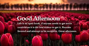I can believe how hot you are, a beauty to admire, and long for. Good Afternoon Quotes Wishes And Message For Friends With Images Photos Pictures