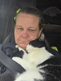 Friendly intact male cat in Old Hickory East Milton