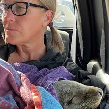 Wendy Burden's Instagram, Twitter & Facebook