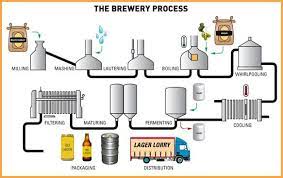 The Brewery Process From Milling Distribution All About Microbrewery Follow Microbrewery Is Easy Beer Brewing Process Beer Making Process Brewing Process