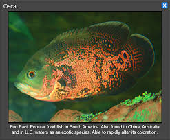 National Aquarium In Washington Dc Virtual Tour In 2020 Virtual Tour Tours Virtual