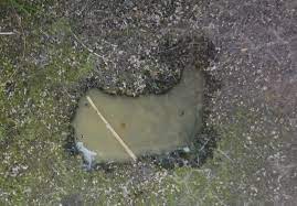 Urin Und Kottelkunde