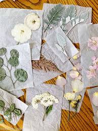 Preserve your favorite flowers by for best results pressing flowers with a microwave, use a professional microwave flower press ($57, microfleur). How To Press Flowers In A Book Average But Inspired