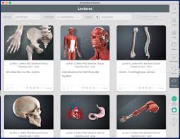 Complete anatomy is a health and fitness app for mac devices developed by complete. Complete Anatomy 2021 Mac 6 5 0 Download