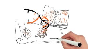 To request an evaluation of this company and its inclusion in the opencorporation ranking. Technology Curevac