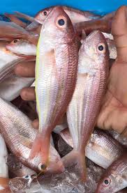 Check spelling or type a new query. Ikan Kerisi Besar Mr Cool Cold Storage Facebook