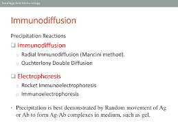 Mancini is the name of the scientist who invented the method. Ppt Immunodiffusion Techniques Powerpoint Presentation Free Download Id 2160142