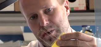 Top cancer researcher is struck off