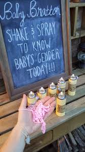 If your plan is to use the reveal to discover baby's gender for the first time yourselves, have a friend or family member get the results from your doctor and arrange the reveal details for you. 24 Gender Reveal Ideas For Pregnancy Announcements Tip Junkie