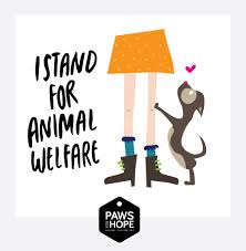 I Stand For Animal Welfare Alicia Carvalho Animal Welfare Animals Welfare