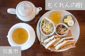 もくれん の 樹
