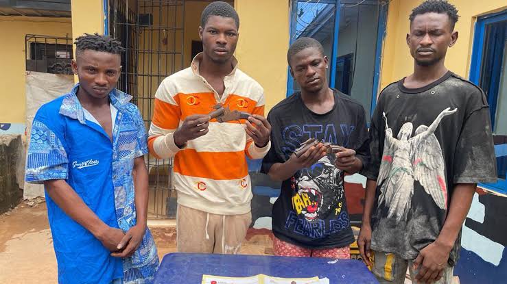 Delta Police nab four suspected cultists, car snatcher