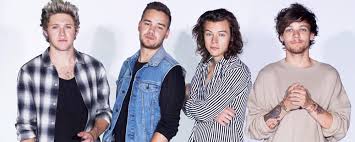 La Separacion De One Direction La Guia Go