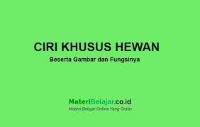 Perbedaan keju cheddar, mozarella, dan parmesan yang banyak digunakan perbedaan tersebut mungkin masih jarang diketahui banyak orang. Ciri Khusus Hewan Lengkap Beserta Gambar Dan Fungsinya