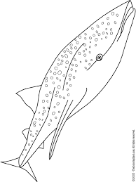 After all, it is a coloring page that concentrates on the two of them and not on adults. Whale Shark Coloring Page Audio Stories For Kids Free Coloring Pages Colouring Printables