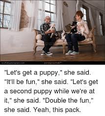 Scruffy Not Copy Hy Oge Scruffydogphotographycom Your Dog Is Our Studio Let S Get A Puppy She Said It Ll Be Fun She Said Let S Get A Second Puppy While We Re At It