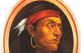 Sitting Bull, Crazy Horse, Geronimo, Tecumseh & Other Heroes Resistance